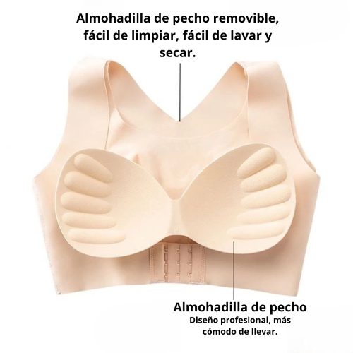 Corrector De Postura